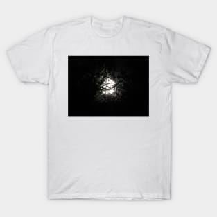 Full Moon in Branches T-Shirt